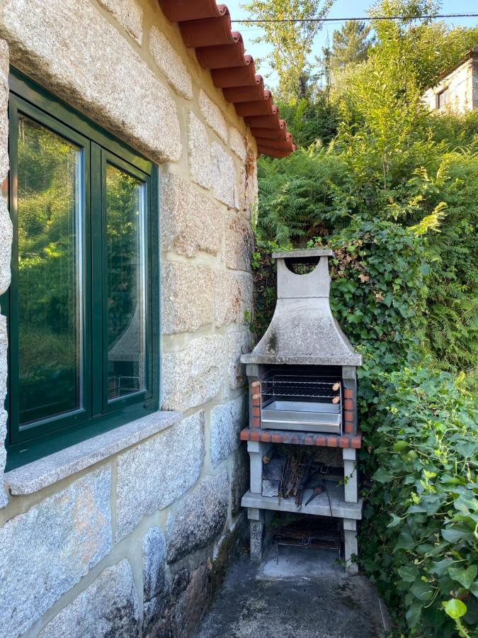 Douro Senses - Village House Cinfães Dış mekan fotoğraf