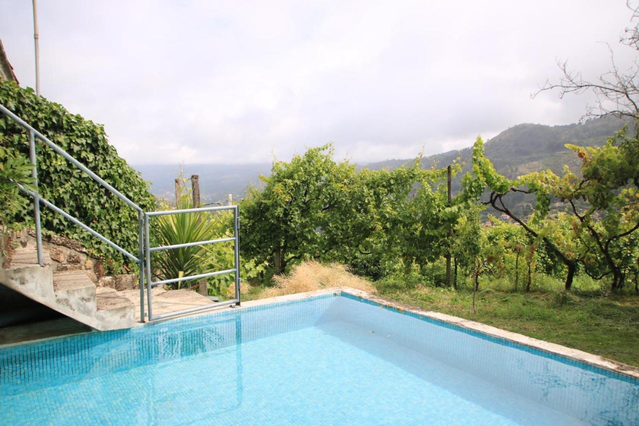 Douro Senses - Village House Cinfães Dış mekan fotoğraf