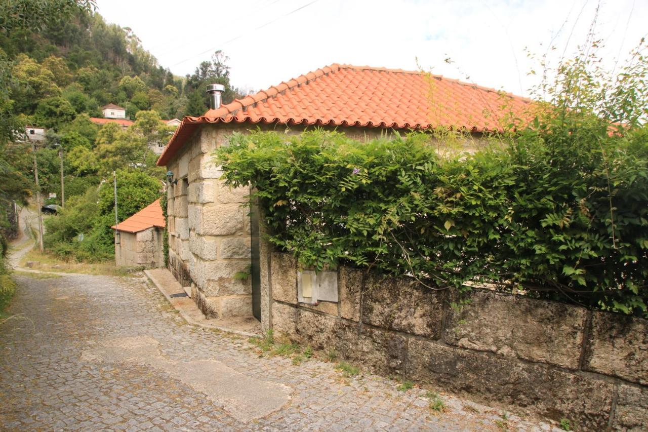 Douro Senses - Village House Cinfães Dış mekan fotoğraf