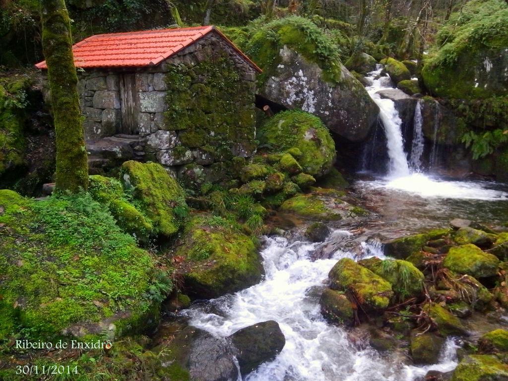 Douro Senses - Village House Cinfães Oda fotoğraf